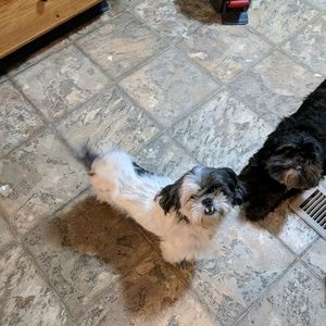 Meet your Posher, Eleanor